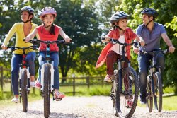 meridian-family_bicycles_1.497